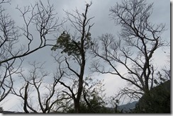 IMG_7881
