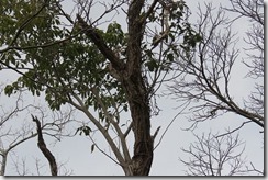 IMG_7883