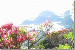 IMG_8084