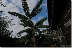IMG_9249