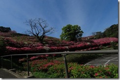 IMG_0029