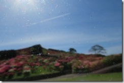 IMG_0032