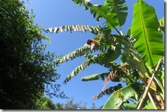 IMG_0175