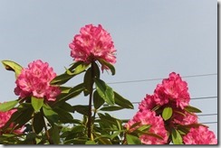 IMG_0260