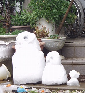 2009snow1.jpg