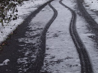 2009snow2.jpg