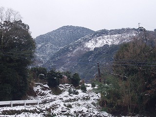 2009snow3.jpg