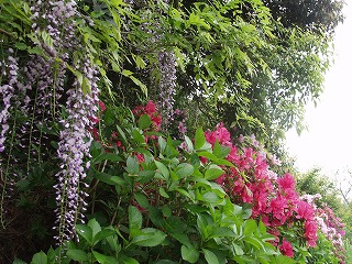 huji2008_1.jpg