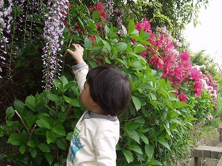 huji2008_1.jpg