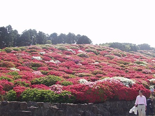 nagusi2009-1.jpg