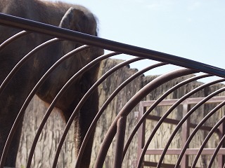 tenkaihou2007.jpg